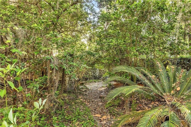 905 Goebel Ave, Savannah, GA 31404 - view of undeveloped land