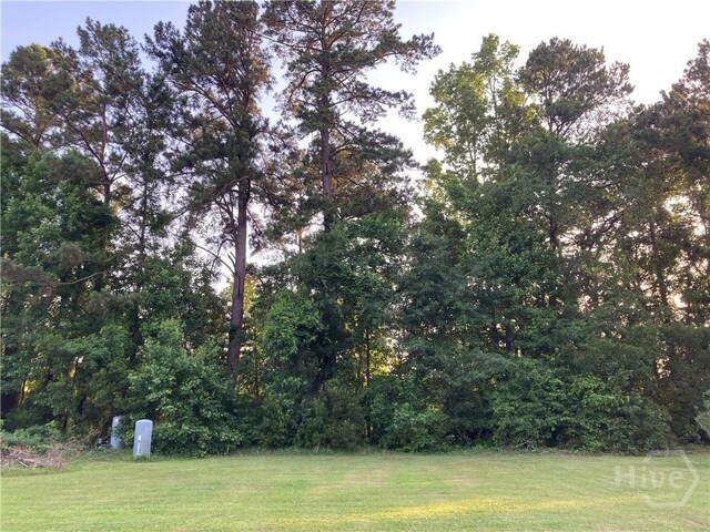 155 Oak Hill Rd, Richmond Hill, GA 31324 - view of green lawn
