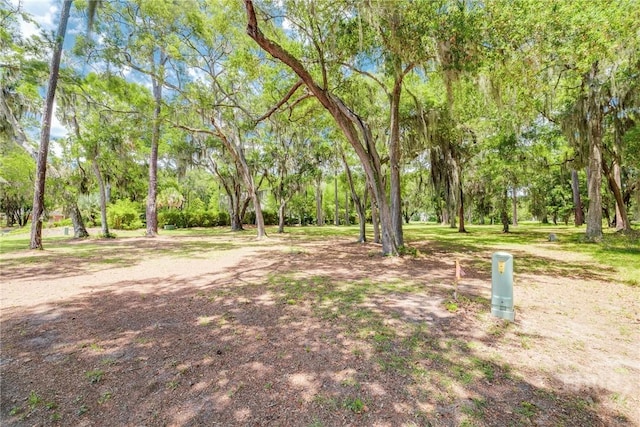 LOT6 Sutherland Bluff Dr, Townsend, GA 31331