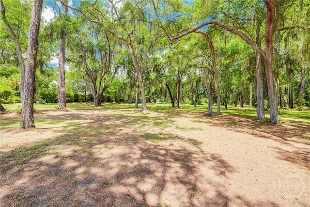 LOT6 Sutherland Bluff Dr, Townsend, GA 31331