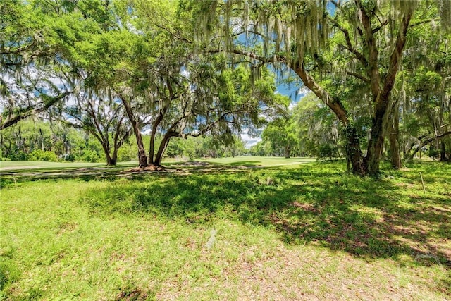 LOT6 Sutherland Bluff Dr, Townsend, GA 31331