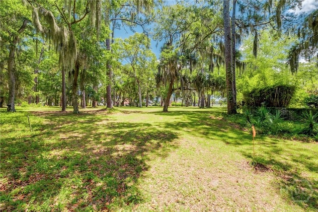 LOT6 Sutherland Bluff Dr, Townsend, GA 31331