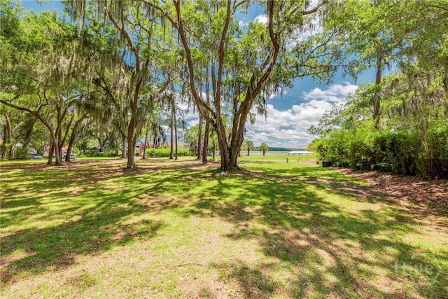 LOT6 Sutherland Bluff Dr, Townsend, GA 31331