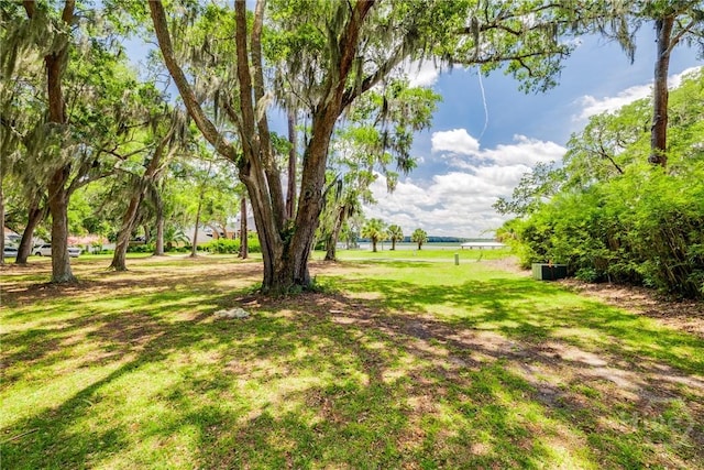 LOT6 Sutherland Bluff Dr, Townsend, GA 31331