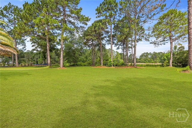 113 Demeries Lake Ln, Richmond Hill, GA 31324 - photo 48