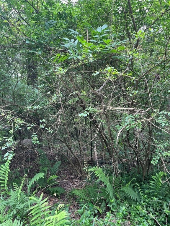 0 Pickens St, Savannah, GA 31405 - photo 2