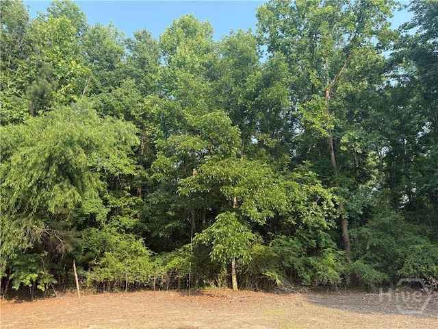 246 Brinson St, Rocky Ford, GA 30455 - photo 15