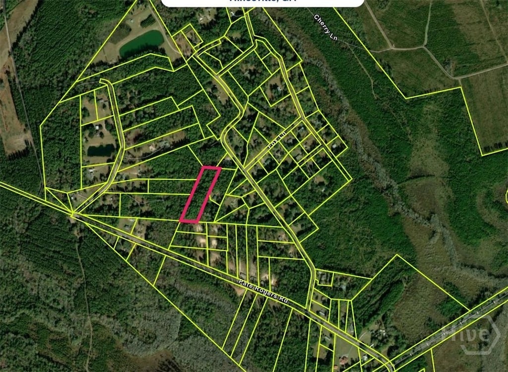 0 Pate Rogers Rd, Fleming, GA 31309 - photo 2
