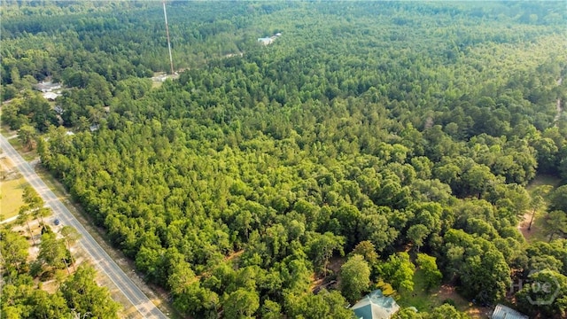 0 Halcyondale Rd, Sylvania, GA 30467 - photo 3