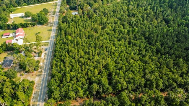 0 Halcyondale Rd, Sylvania, GA 30467 - photo 4