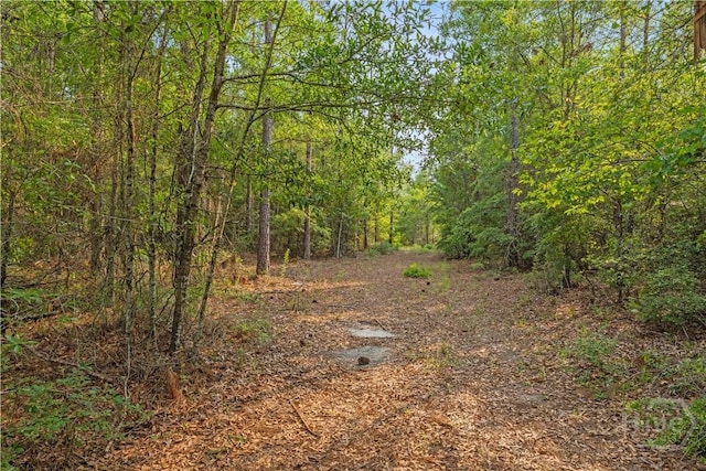 0 Halcyondale Rd, Sylvania, GA 30467 - photo 9