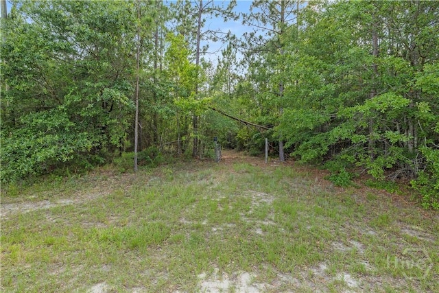 0 Halcyondale Rd, Sylvania, GA 30467 - photo 10