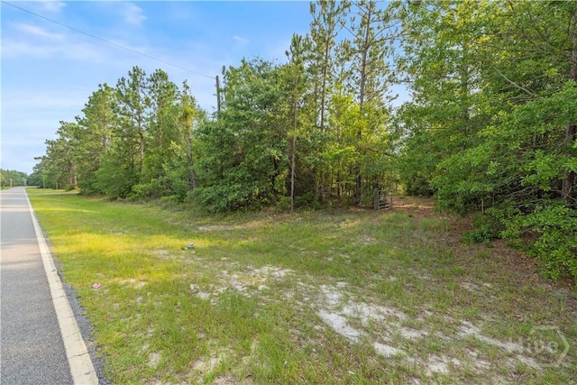 0 Halcyondale Rd, Sylvania, GA 30467 - photo 11