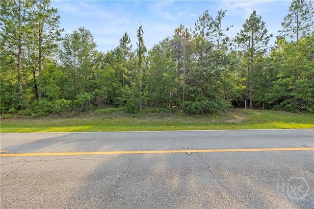 0 Halcyondale Rd, Sylvania, GA 30467 - photo 12