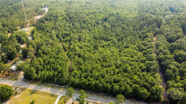 0 Halcyondale Rd, Sylvania, GA 30467 - photo 1