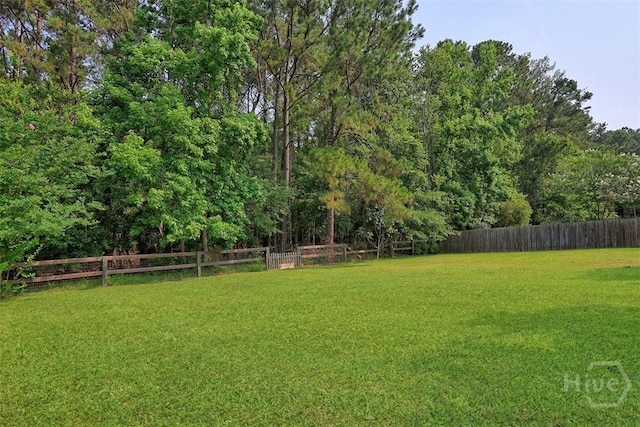 207 Pink Dogwood Ln, Pooler, GA 31322 - view of yard