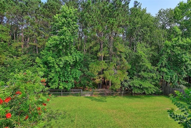207 Pink Dogwood Ln, Pooler, GA 31322 - view of yard