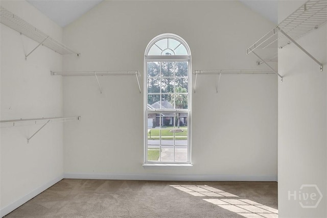 207 Pink Dogwood Ln, Pooler, GA 31322 - walk in closet with carpet flooring and vaulted ceiling