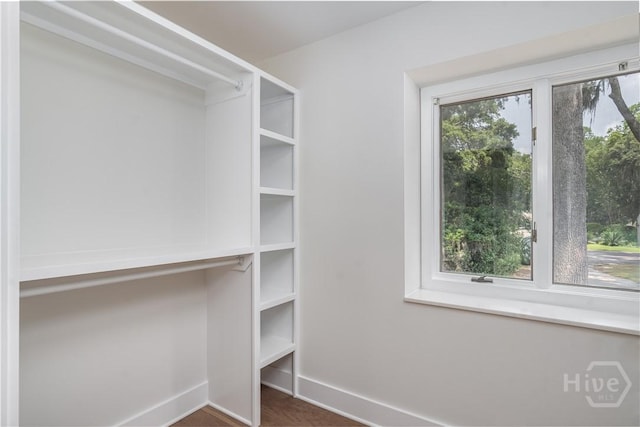6 Schroeder Ct, Savannah, GA 31411 - view of walk in closet