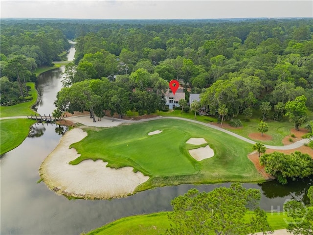 6 Schroeder Ct, Savannah, GA 31411 - drone / aerial view of a large body of water, a heavily wooded area, and a golf club