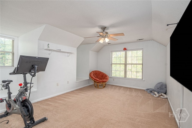 92 Shady Hill Cir, Richmond Hill, GA 31324 - exercise room with vaulted ceiling, carpet, a textured ceiling, ceiling fan, and baseboards
