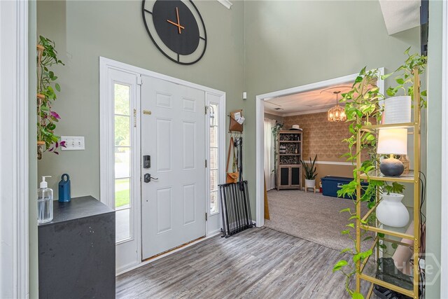 92 Shady Hill Cir, Richmond Hill, GA 31324 - entryway with wood finished floors, a chandelier, and a high ceiling