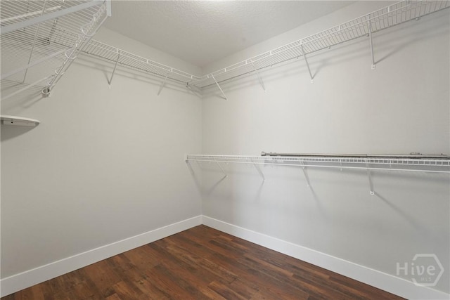 570 Canyon Oak Loop, Richmond Hill, GA 31324 - walk in closet with dark wood-style flooring