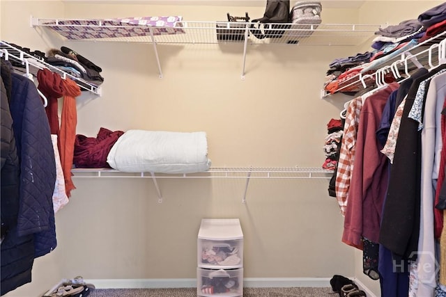 244 Murray Crossing Blvd NE, Ludowici, GA 31316 - spacious closet with carpet floors