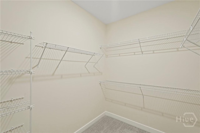 112 Mage St, Savannah, GA 31302 - spacious closet featuring carpet