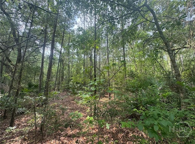 2 Manchester Rd SE, Townsend, GA 31331