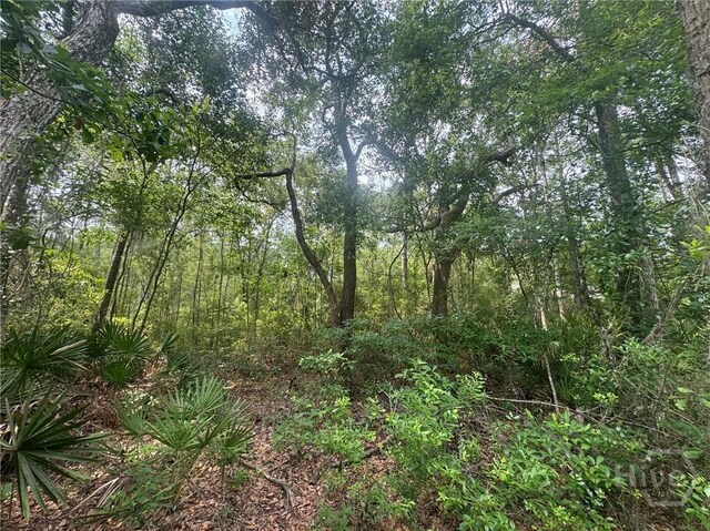 2 Manchester Rd SE, Townsend, GA 31331