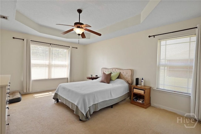 541 Deloach Rd NE, Ludowici, GA 31316 - bedroom featuring a tray ceiling, carpet, and multiple windows