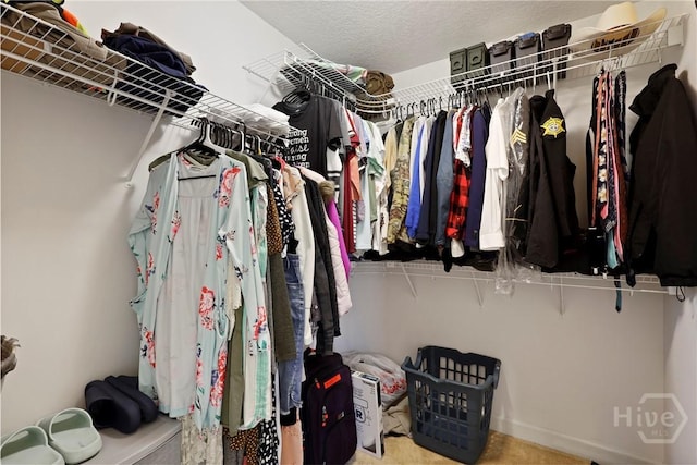 541 Deloach Rd NE, Ludowici, GA 31316 - view of walk in closet