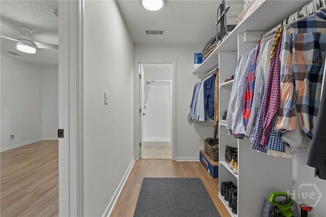 107 Rose Dhu Way, Savannah, GA 31419 - walk in closet with light wood-style flooring