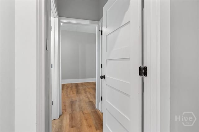 1825 Lloyd St, Savannah, GA 31405 - hallway featuring light wood-style floors