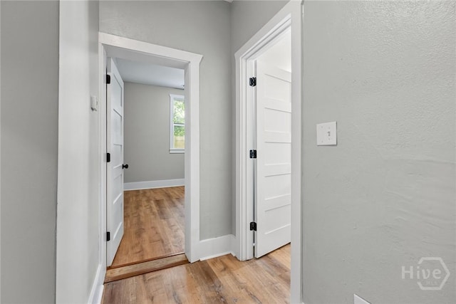 1825 Lloyd St, Savannah, GA 31405 - corridor featuring light wood finished floors and baseboards
