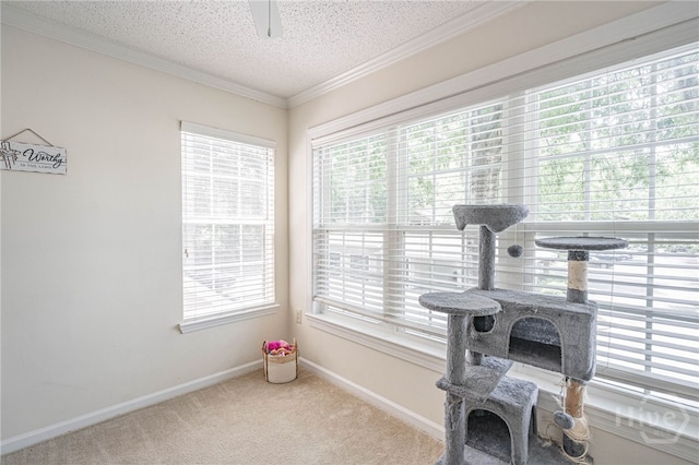12300 Apache Ave Unit 1517, Savannah, GA 31419 - detailed view of a textured ceiling, ornamental molding, carpet flooring, baseboards, and ceiling fan