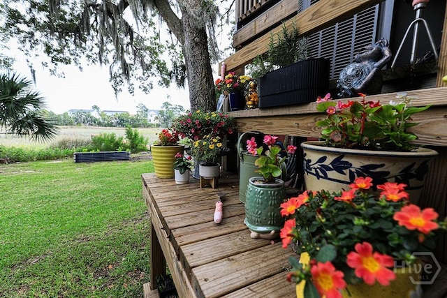 111 Runner Rd, Savannah, GA 31410 - view of grassy yard with a wooden deck