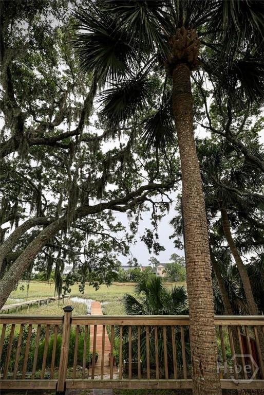 111 Runner Rd, Savannah, GA 31410 - view of community