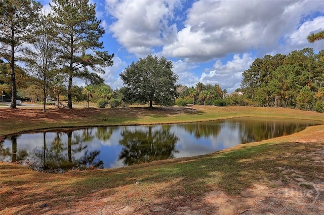 152 Saint Ives Dr, Savannah, GA 31419 - photo 27