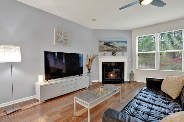106 Tanzania Trl, Pooler, GA 31322 - living room featuring wood finished floors, a ceiling fan, a glass covered fireplace, and baseboards