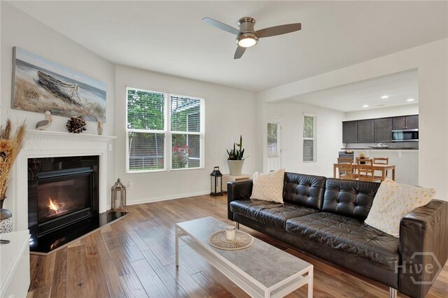 106 Tanzania Trl, Pooler, GA 31322 - living room with wood finished floors, a ceiling fan, a glass covered fireplace, and baseboards