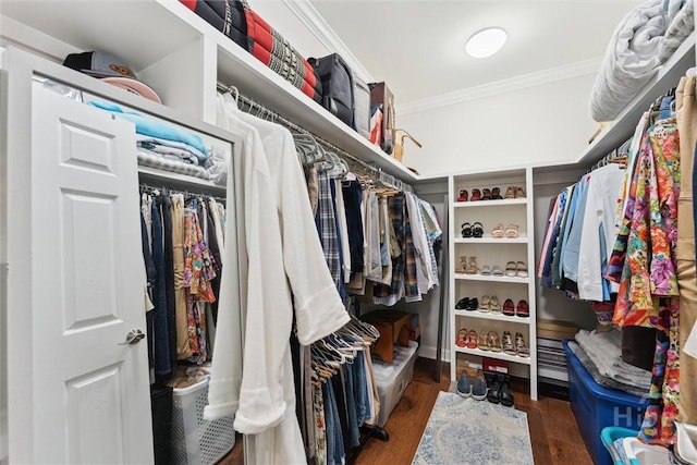 2 Dalry Ln, Savannah, GA 31419 - walk in closet with wood finished floors