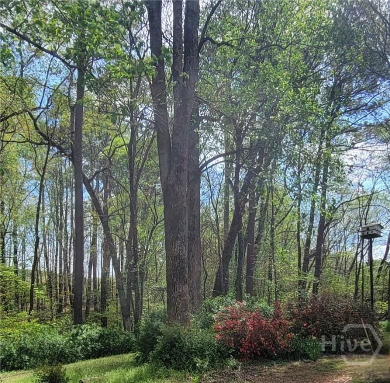 3764 Lochview Dr, Loganville, GA 30052 - view of tree filled area