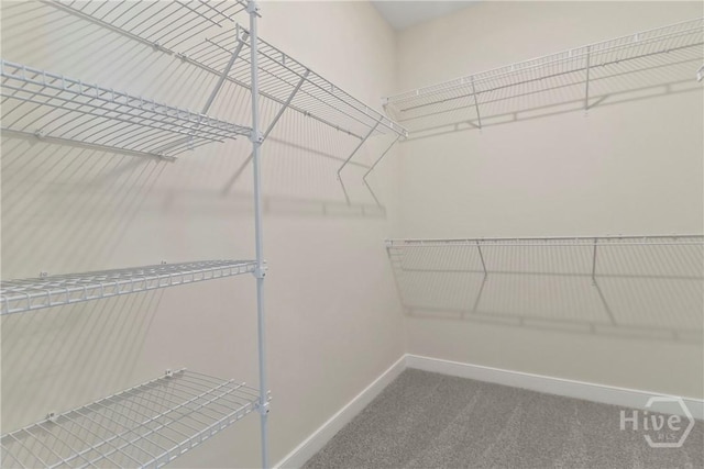 113 Mage St, Bloomingdale, GA 31302 - photo 20