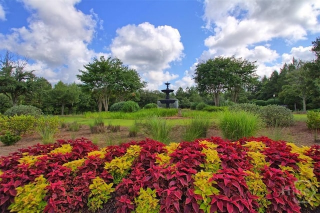 214 Park Chase Chase, Pooler, GA 31322 - view of yard