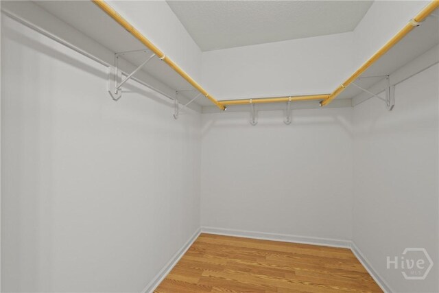 315 S Bridgeport Dr, Statesboro, GA 30461 - walk in closet featuring light wood-style flooring