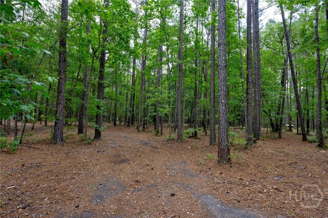 4000 Old River Rd S, Brooklet, GA 30415 - view of tree filled area