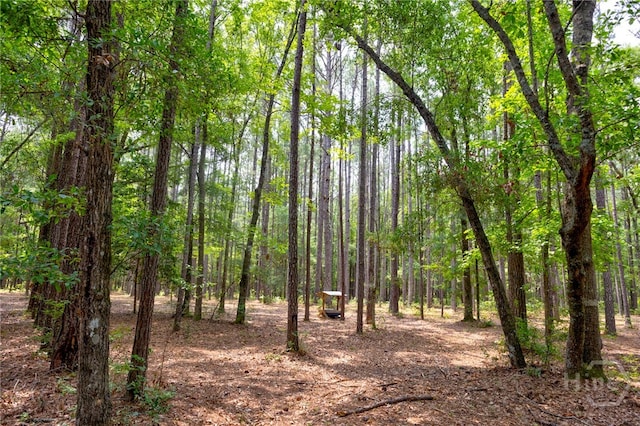 4000 Old River Rd S, Brooklet, GA 30415 - view of wooded area