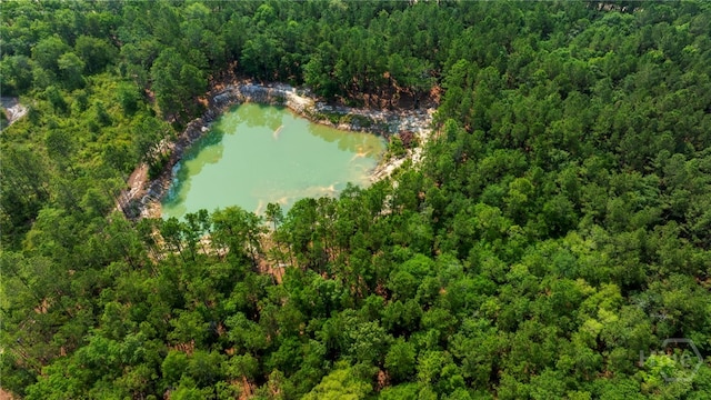 4000 Old River Rd S, Brooklet, GA 30415 - aerial view of property's location with a heavily wooded area and a nearby body of water